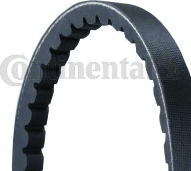 Continental AVX13X938 - Клиновий ремінь autodetail.com.ua
