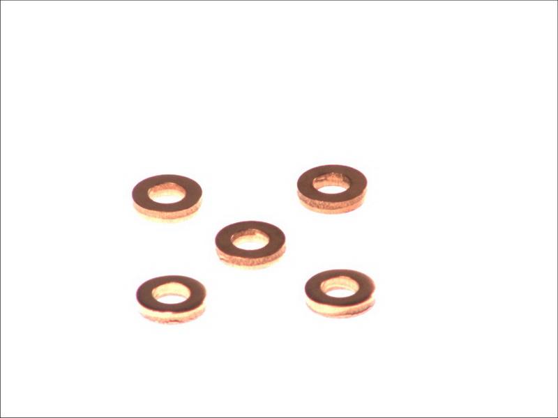 Delphi 9001-850C - Ущільнювальне кільце, гніздо форсунки autodetail.com.ua