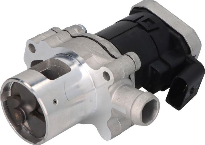Delphi EG10430-12B1 - Клапан системи рециркуляції ВГ autodetail.com.ua