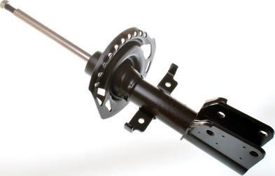 Denckermann DSB168G - Амортизатор autodetail.com.ua