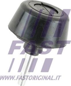 Fast FT95478 - Напрямна, кнопка механічного блокування дверей autodetail.com.ua