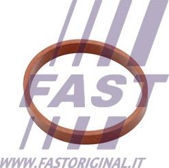 Fast FT49418 - Ущільнення, впускний колектор autodetail.com.ua