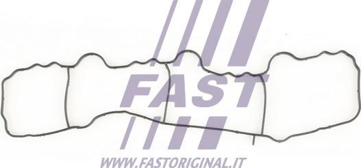 Fast FT49430 - Ущільнення, впускний колектор autodetail.com.ua