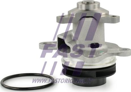 Fast FT57196 - Водяний насос autodetail.com.ua