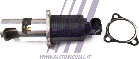 Fast FT60210 - Клапан системи рециркуляції ВГ autodetail.com.ua