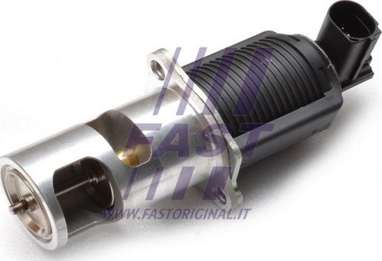 Fast FT60213 - Клапан системи рециркуляції ВГ autodetail.com.ua