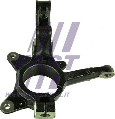Fast FT13531 - Шийка осі, підвіска коліс autodetail.com.ua