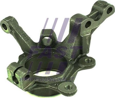Fast FT13532 - Шийка осі, підвіска коліс autodetail.com.ua