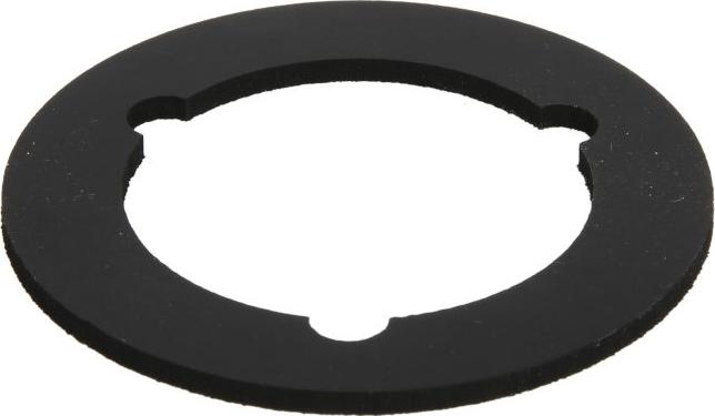 Febi Bilstein 100690 - Ущільнення, пробка оливоналивної горловини autodetail.com.ua