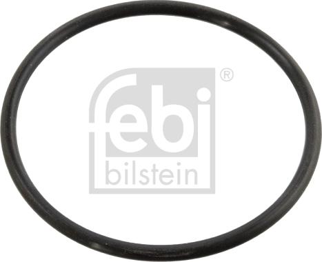 Febi Bilstein 10258 - Ущільнення, термостат autodetail.com.ua