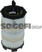 FRAM CH11079ECO - Оливний фільтр autodetail.com.ua