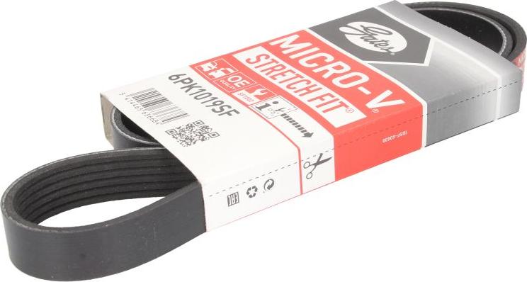 Gates 6PK1019SF - Поліклиновий ремінь autodetail.com.ua