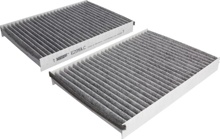 Hengst Filter E2919LC-2 - Фільтр, повітря у салоні autodetail.com.ua