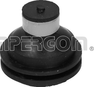 IMPERGOM 31651 - Опора, двигун autodetail.com.ua