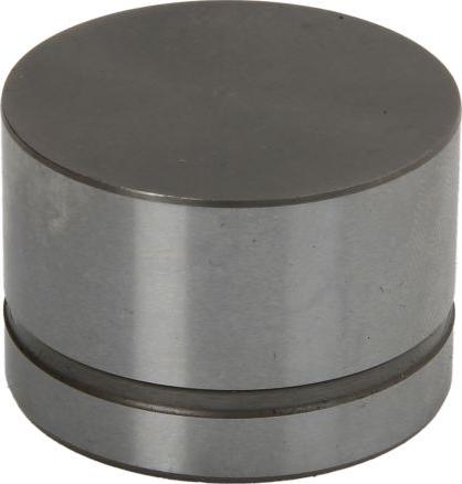 INA 420 0042 10 - Штовхач клапана autodetail.com.ua