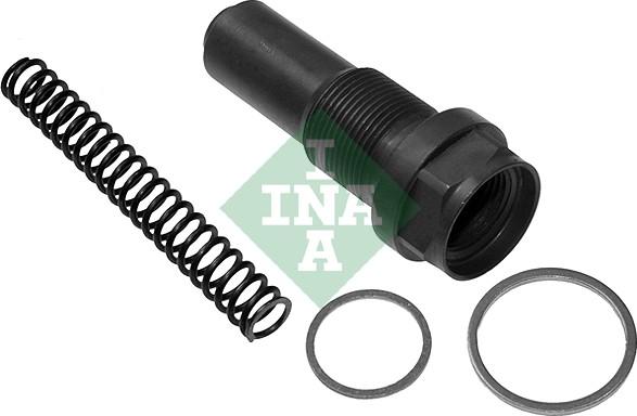 INA 551 0118 10 - Натяжний пристрій, ланцюг привода autodetail.com.ua
