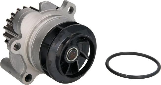 INA 538 0089 10 - Водяний насос autodetail.com.ua