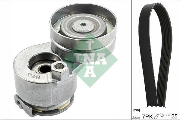 INA 529 0088 10 - Комплект поліклинових ременів autodetail.com.ua