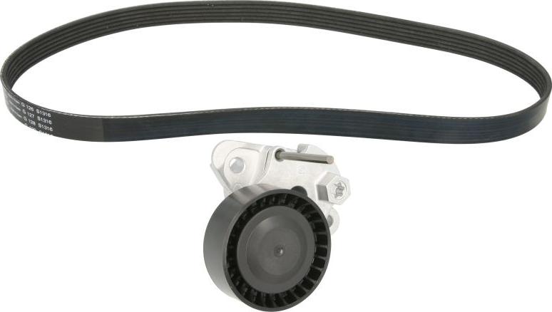 INA 529 0159 10 - Комплект поліклинових ременів autodetail.com.ua