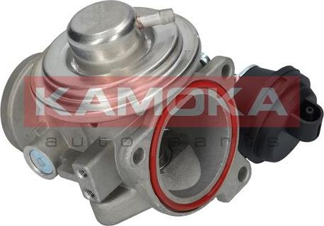 Kamoka 19024 - Клапан системи рециркуляції ВГ autodetail.com.ua