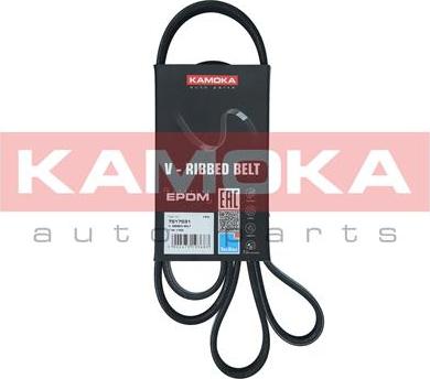 Kamoka 7017031 - Поліклиновий ремінь autodetail.com.ua