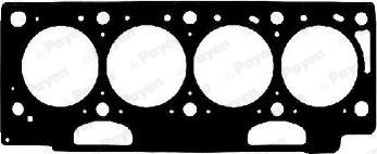 Payen AC5064 - Ущільнення, голівка циліндра autodetail.com.ua