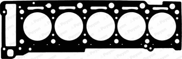 Payen AD5720 - Ущільнення, голівка циліндра autodetail.com.ua