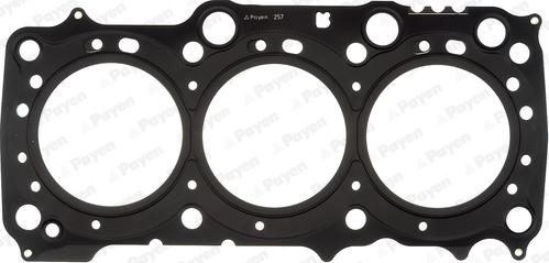 Payen AG9790 - Ущільнення, голівка циліндра autodetail.com.ua