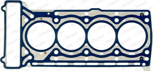 Payen AG8790 - Ущільнення, голівка циліндра autodetail.com.ua