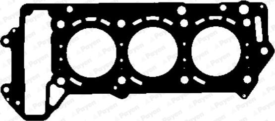 Payen AH5020 - Ущільнення, голівка циліндра autodetail.com.ua