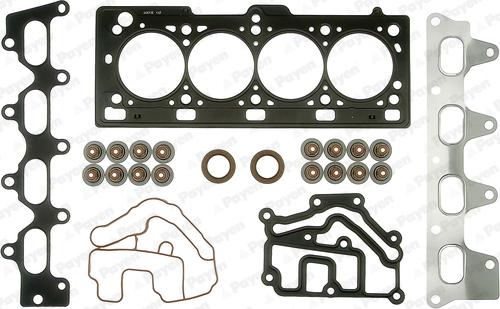 Payen CC5100 - Комплект ущільнень, голівка циліндра autodetail.com.ua