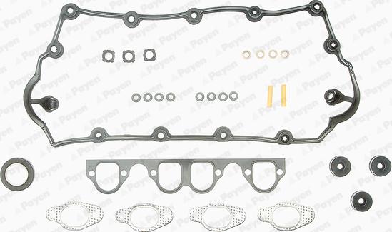 Payen CC5231 - Комплект ущільнень, голівка циліндра autodetail.com.ua