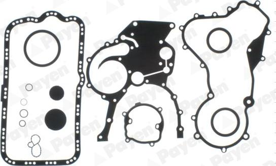 Payen EE5220 - Комплект ущільнень, картер autodetail.com.ua