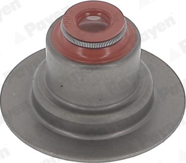 Payen HR5145 - Комплект ущільнень, шток клапана autodetail.com.ua
