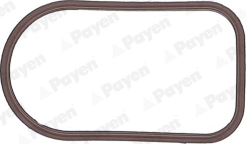 Payen JD6163 - Ущільнення, впускний колектор autodetail.com.ua