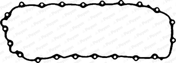 Payen JH5041 - Ущільнення, оливозбірник autodetail.com.ua