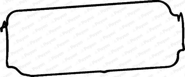 Payen JM5185 - Ущільнення, кришка голівки циліндра autodetail.com.ua