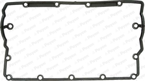 Payen JM5203 - Ущільнення, кришка голівки циліндра autodetail.com.ua