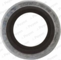 Payen KG5012 - Ущільнювальне кільце, пробка для зливання оливи autodetail.com.ua