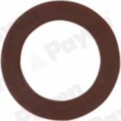 Payen KG5313 - Ущільнювальне кільце, пробка для зливання оливи autodetail.com.ua