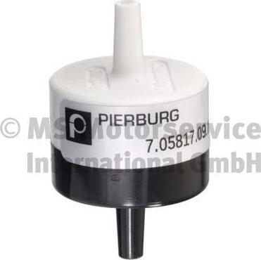 Pierburg 705817090 - Клапан, система подачі вторинного повітря autodetail.com.ua