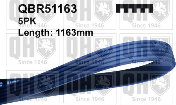 Quinton Hazell QBR51163 - Поліклиновий ремінь autodetail.com.ua