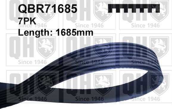 Quinton Hazell QBR71685 - Поліклиновий ремінь autodetail.com.ua
