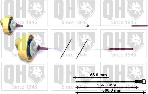 Quinton Hazell QOD148 - Оливний щуп autodetail.com.ua