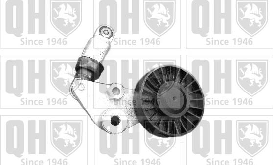 Quinton Hazell QTA1065 - Натяжний пристрій, клиновий ремінь autodetail.com.ua