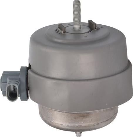 REINHOCH RH11-0159 - Опора, двигун autodetail.com.ua