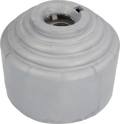 REINHOCH RH11-3044 - Опора, двигун autodetail.com.ua