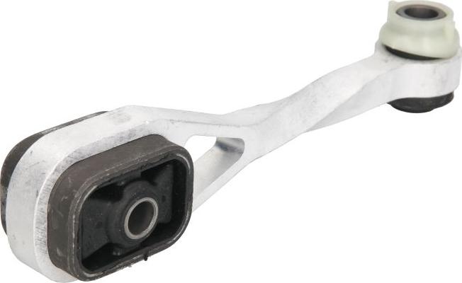 REINHOCH RH11-2009 - Опора, двигун autodetail.com.ua