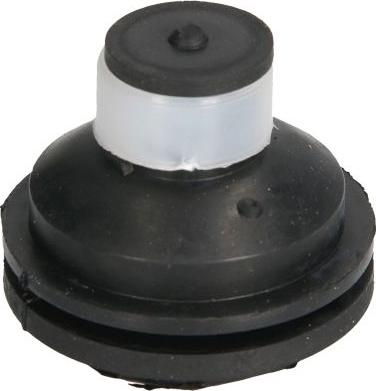REINHOCH RH11-2109 - Опора, двигун autodetail.com.ua