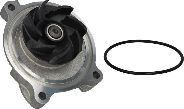 Saleri SIL PA1002A - Водяний насос autodetail.com.ua